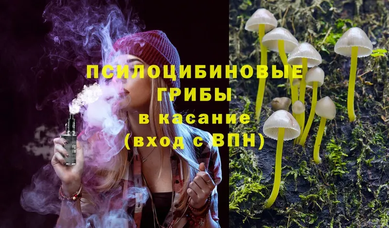 Псилоцибиновые грибы Magic Shrooms  Павловский Посад 